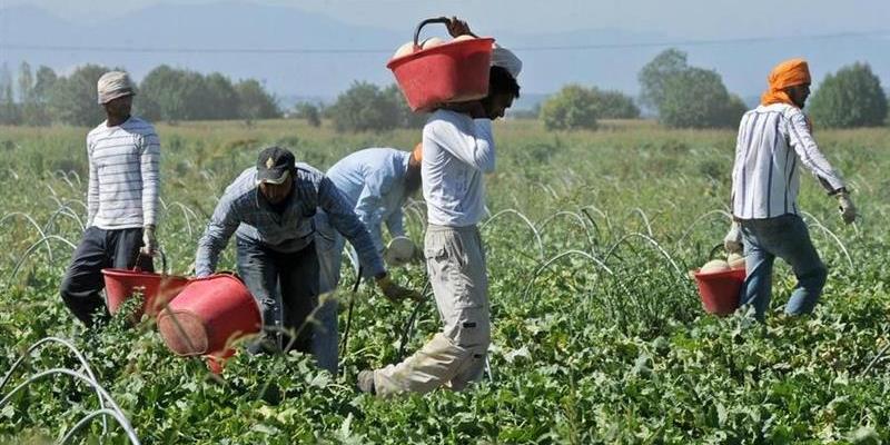 Migranti, corriamo il rischio che il Governo finanzi l’irregolarità