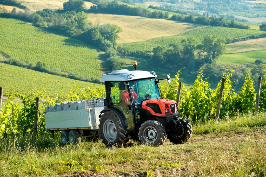 Decreto Semplificazioni, si rischia un mercato occulto nel settore agroalimentare