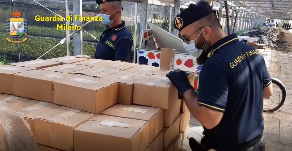 Il caporalato del padrone «buono»