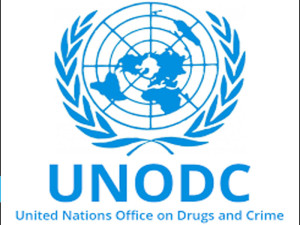 unodc logo