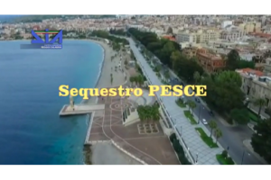 sequestro pesce