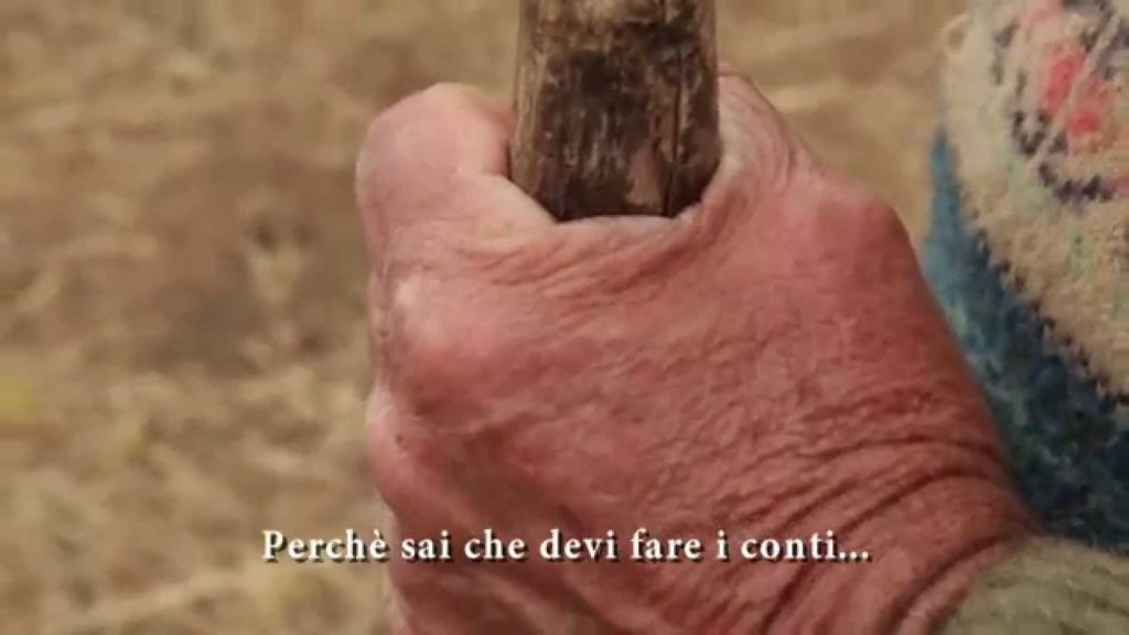Fondi rubati all’agricoltura: parte il maxi-processo