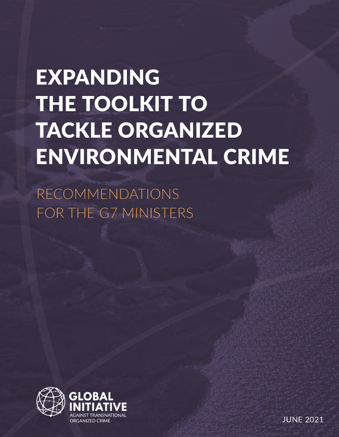 Expanding the toolkit to tackle organized environmental crime