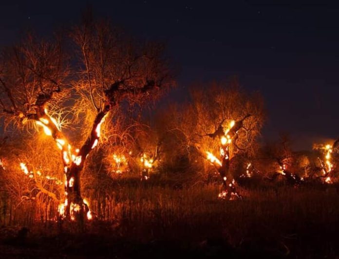 Il Salento brucia