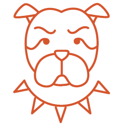 Rapporto Zoomafia 2021: effetto lockdown, ma non abbassare la guardia