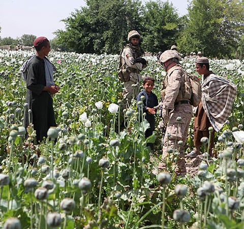La finta guerra all’oppio in Afghanistan