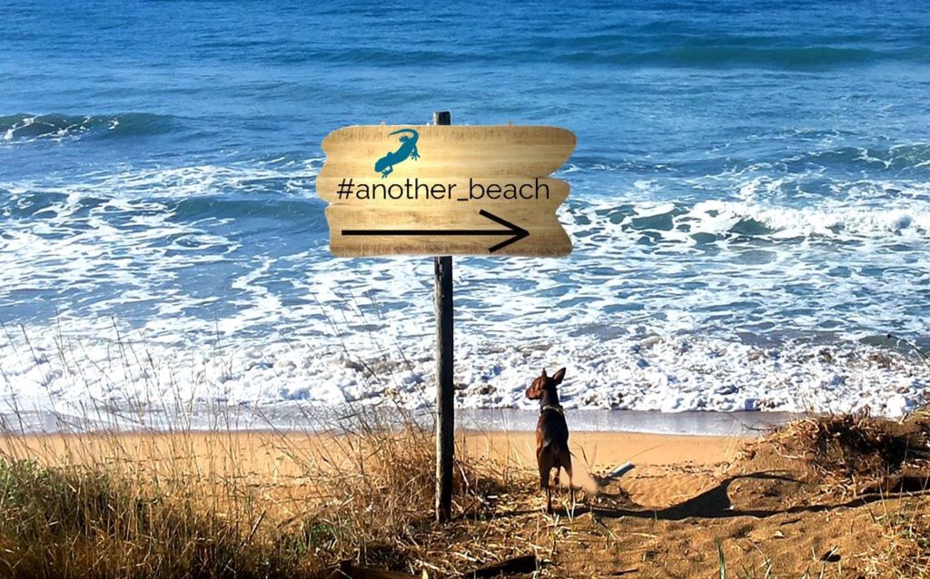 L’altra estate. Vegetariani e artisti di strada: un camping che prova a fare la differenza