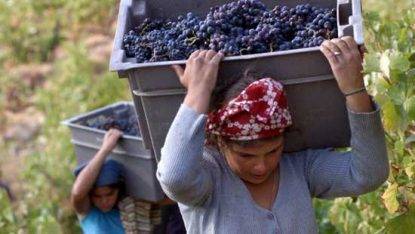Agro Pontino, lavoratrici come prede per il padrone
