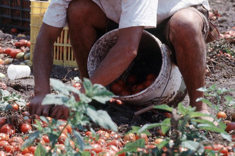 Caporalato nel foggiano. Moglie capo dipartimento Immigrazione Viminale indagata, lui si dimette