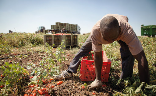 La strage silenziosa dei braccianti stranieri in Puglia
