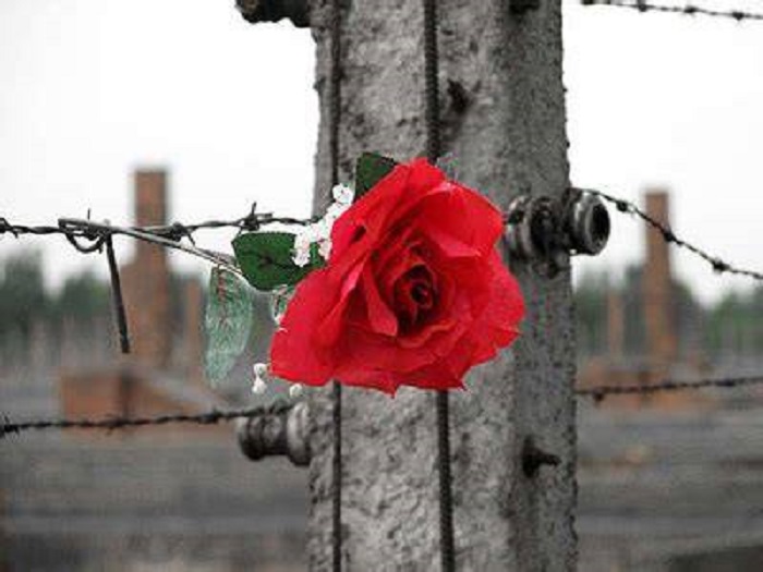 Il Giorno della Memoria…Un cammino di libertà