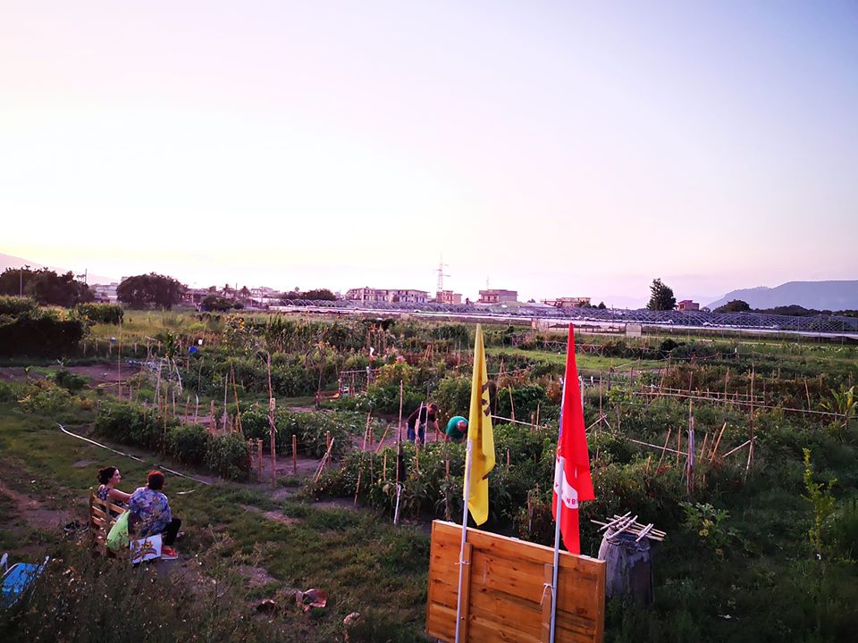 Scafati (SA), dodici ettari di riscatto nel nome di Nicola Nappo