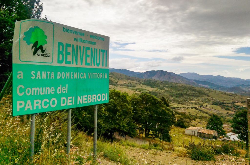 “Prof, io resto”. La lezione di Carmelo dopo la sua tesi sulla mafia dei Nebrodi