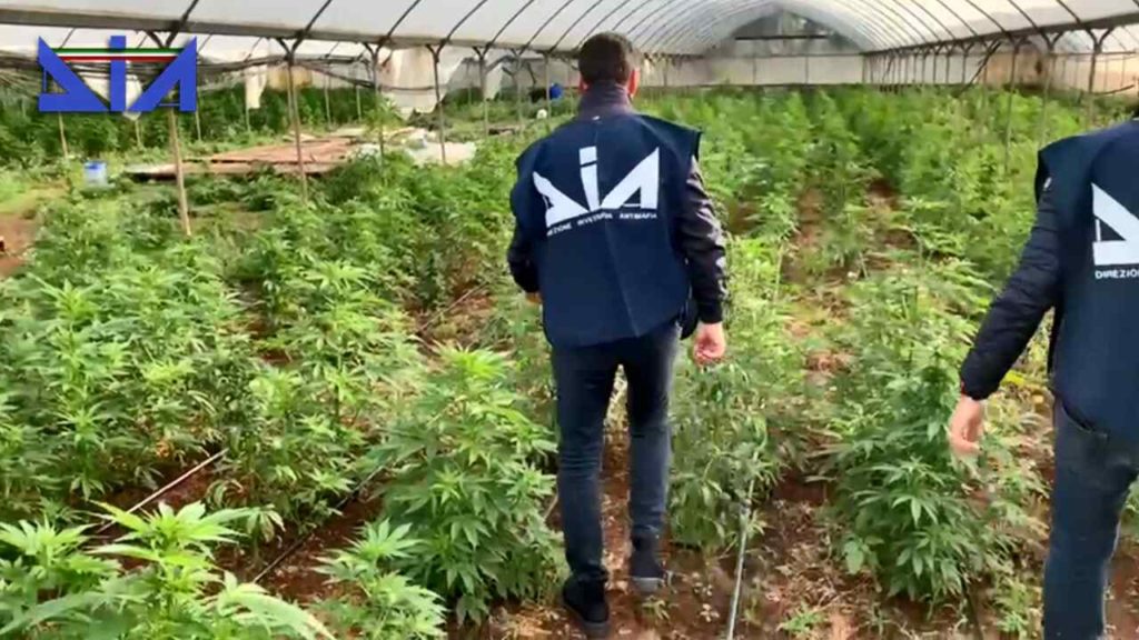 Puglia, droga e armi: ordinanza di custodia cautelare per 11 persone