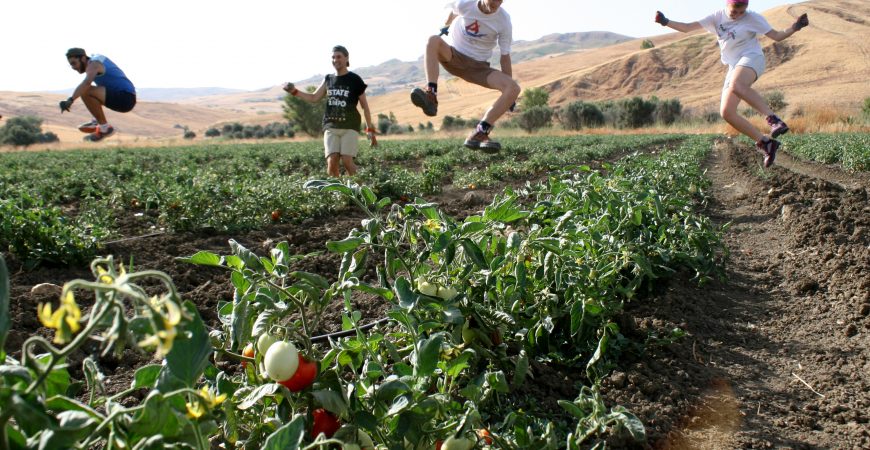 Ripartono da Corleone i campi sui beni confiscati alle mafie dell’Alto Belice Corleonese