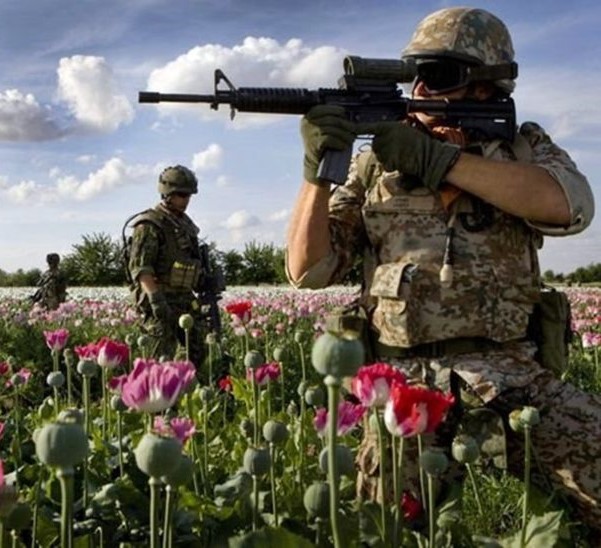 L’Afghanistan saldamente in mano ai signori dell’oppio