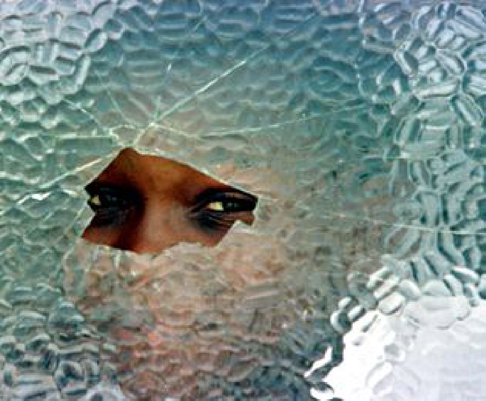 Succede che è il 25 novembre