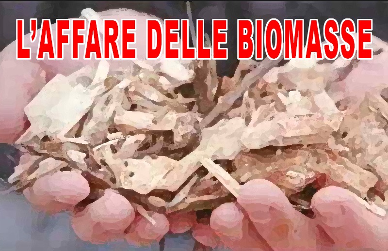 Fuori Tg-Tg3: “L’affare delle biomasse”