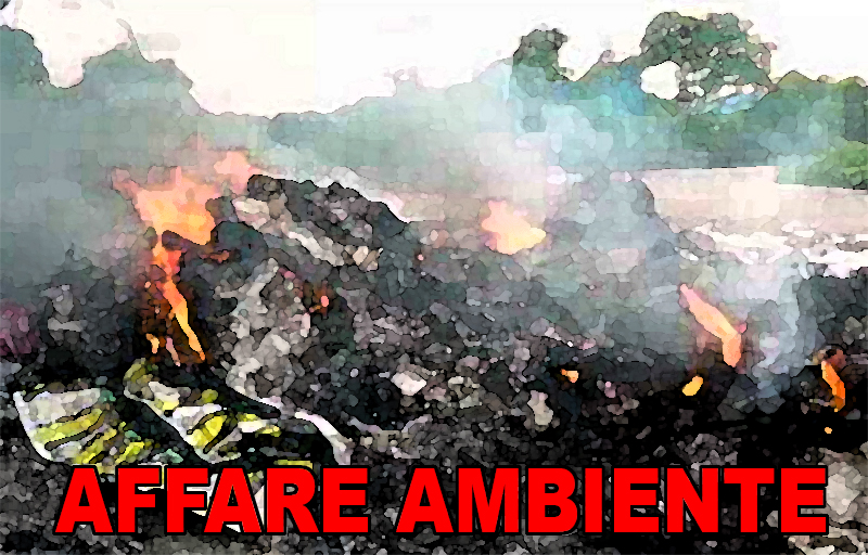 Fuori Tg-Tg3: “Affare ambiente”