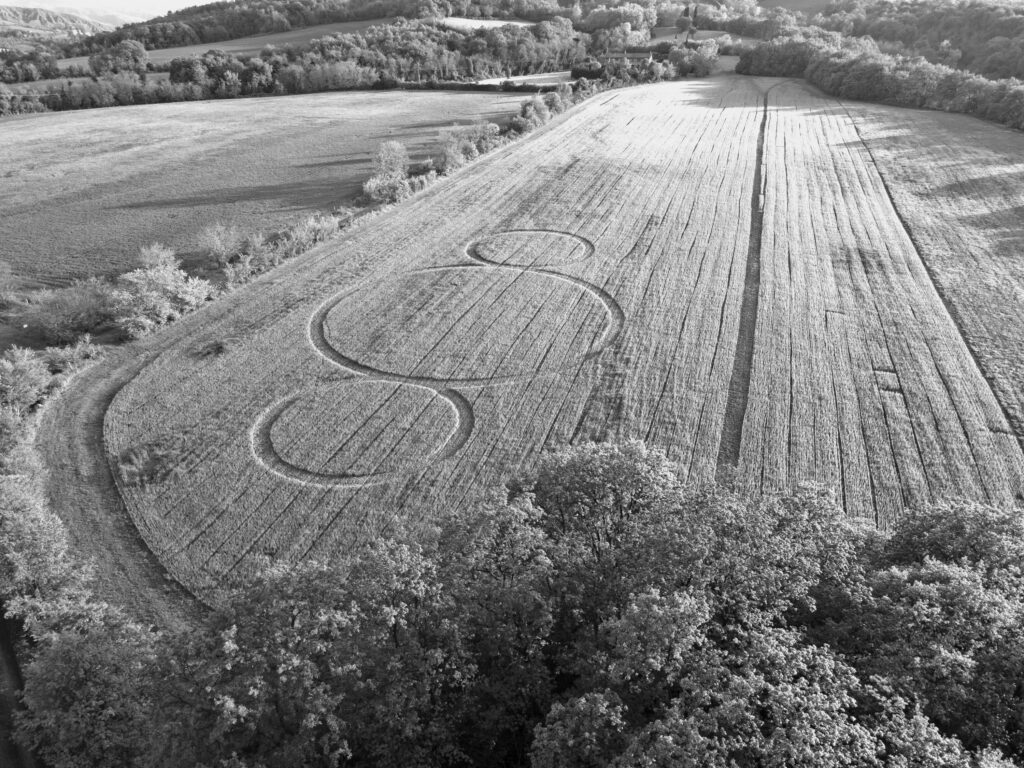 “La terra che cura. Coltivare campi e relazioni”, tre giornate di formazione a cura di Casacomune e Good Land