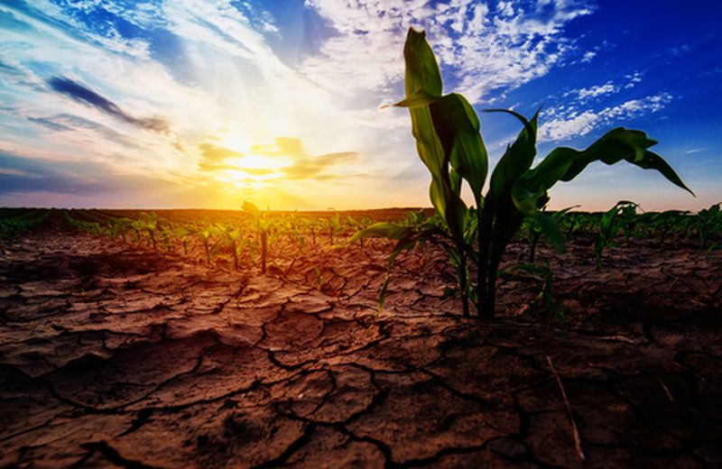 Ambiente: nove raccomandazioni per la sostenibilità dell’Unione Internazionale delle Superiore Generali (UISG)