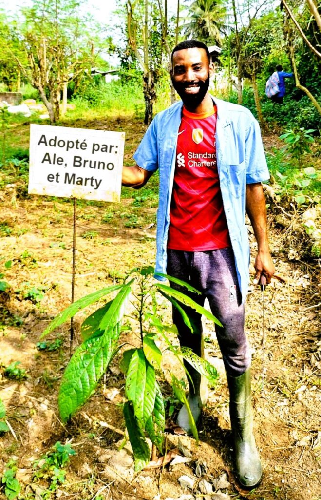 Oggi è la giornata mondiale dell’ambiente. Pianta un albero contro il cambiamento climatico