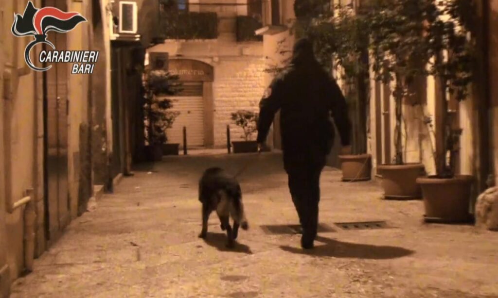 Operazione “Partenone” a Bari e provincia. Oltre 60 misure cautelari per traffico di stupefacenti