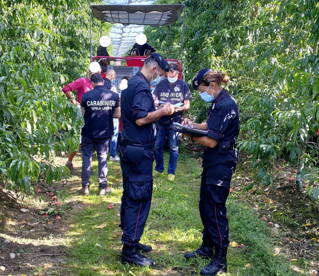 Verona 22/11: “Prevenire l’infiltrazione mafiosa nel settore agricolo. Quali politiche e strumenti?”