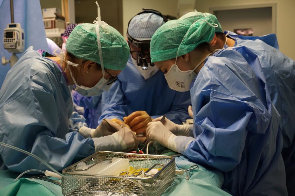 Campania: presentata richiesta di un Tavolo tecnico per l’attività di trapianto di cuore