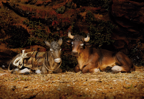 Il bue, l’asinello e noi italiani