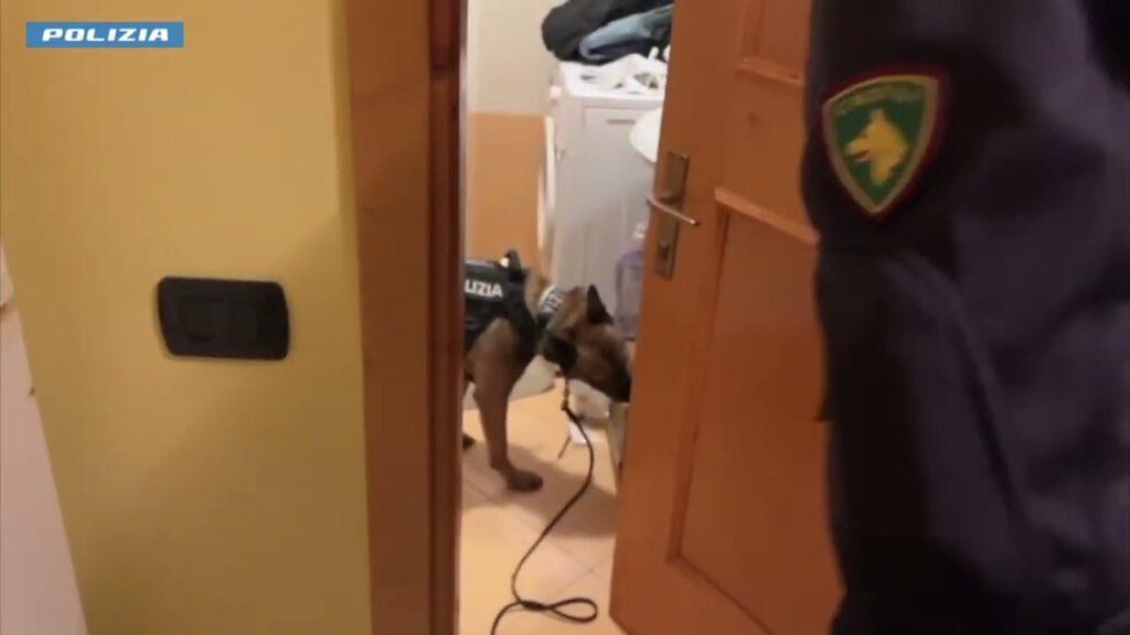 Livigno (SO), droga sulle piste da sci: undici arresti, coinvolta mafia albanese