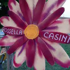 Castagneto Carducci (LI), nel contrasto alle mafie e all’usura il 2024 è l’anno della “rinascita”