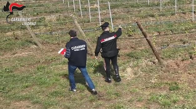 Caporalato a Livorno, Libera: “Non voltiamoci dall’altra parte”