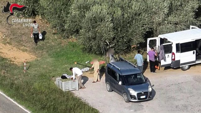 Livorno, operazione dei Carabinieri contro il caporalato. Dieci arresti