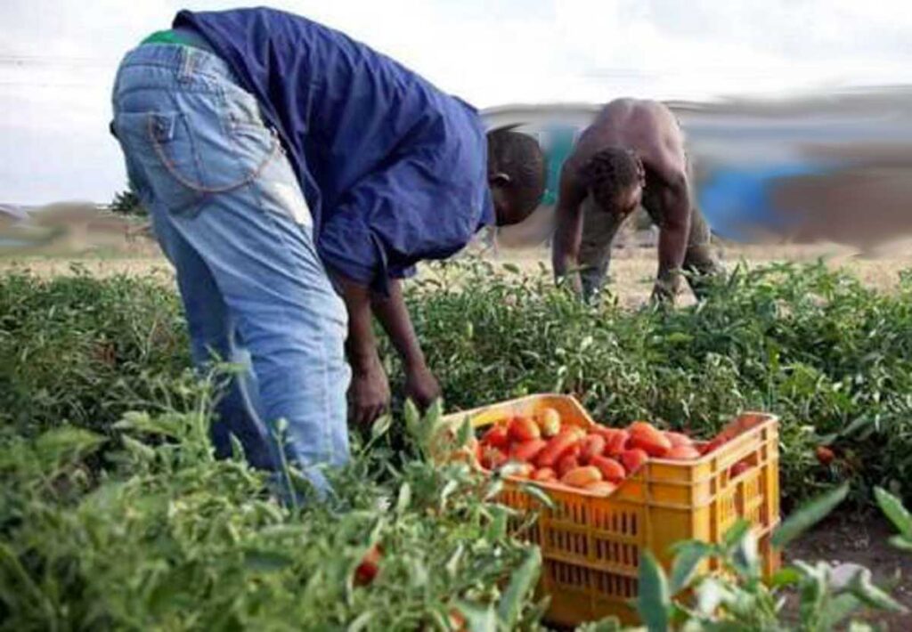 I diritti negati e la nostra coscienza sporca