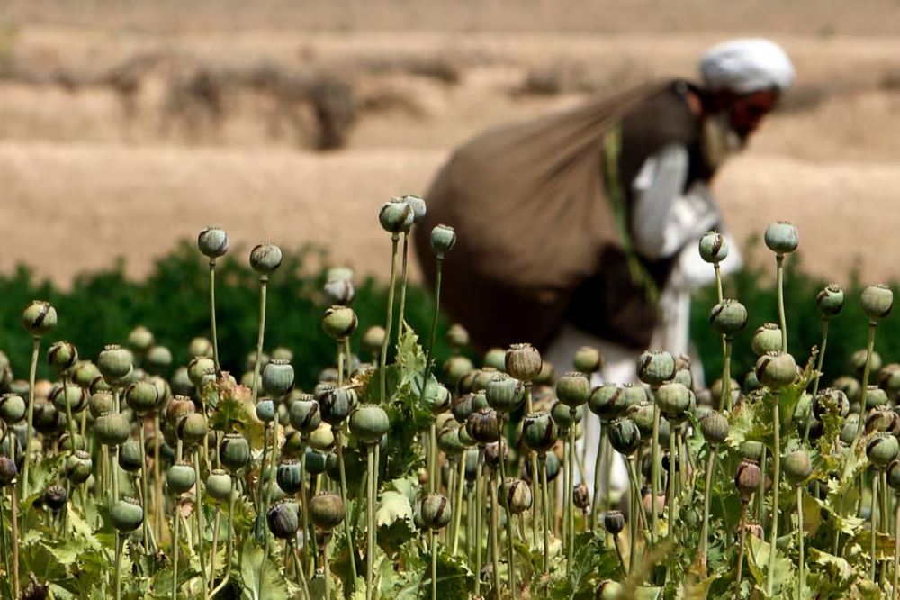 26 giugno 2024: la giornata internazionale contro la droga