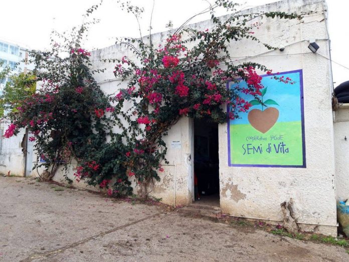 Valenzano (BA), distrutti da un incendio i terreni confiscati alla mafia gestiti da “Semi di vita”