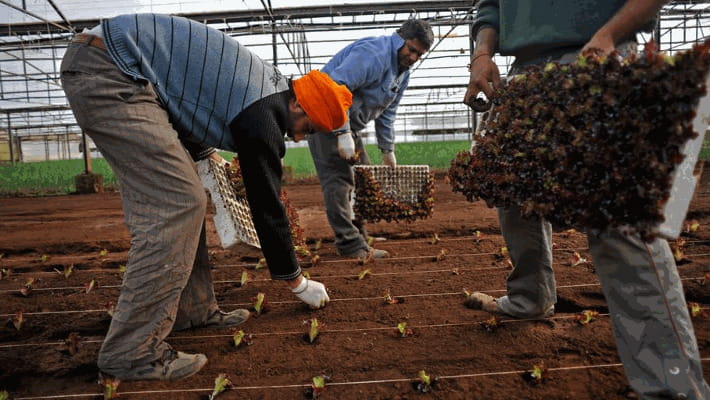 Satnam Singh: noi non dobbiamo voltare pagina