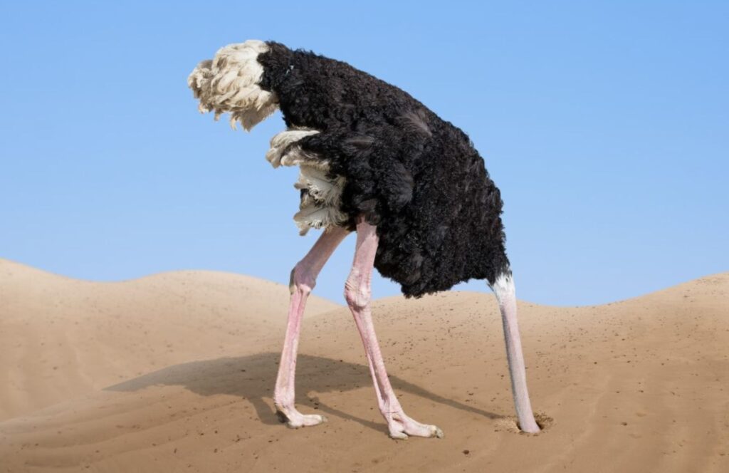 Debito pubblico e altri animali