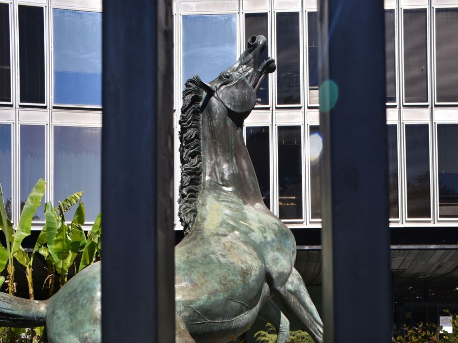 Usigrai: vertice Rai non risponde sui “vergogna” della Capo Ufficio Stampa