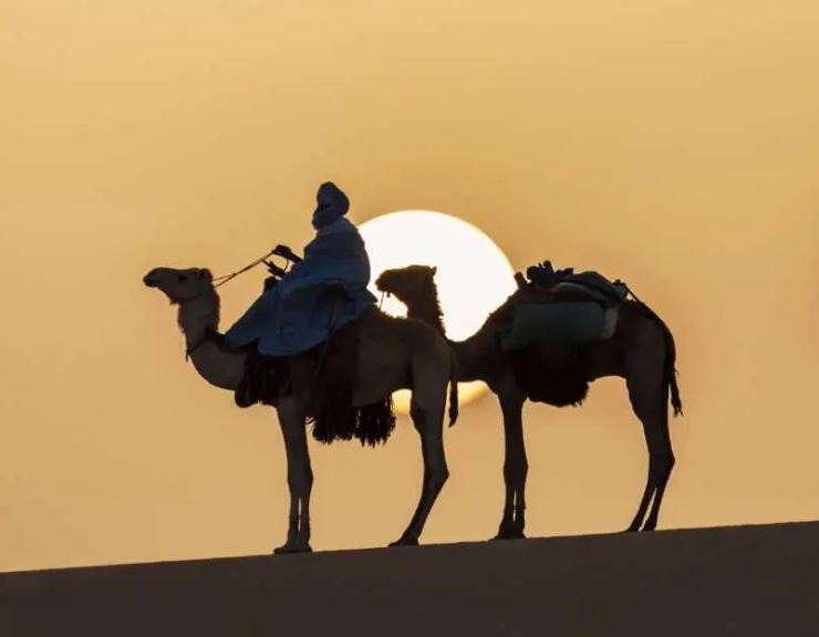 L’Algeria, il narcotraffico e l’incubo dell’integralismo islamico