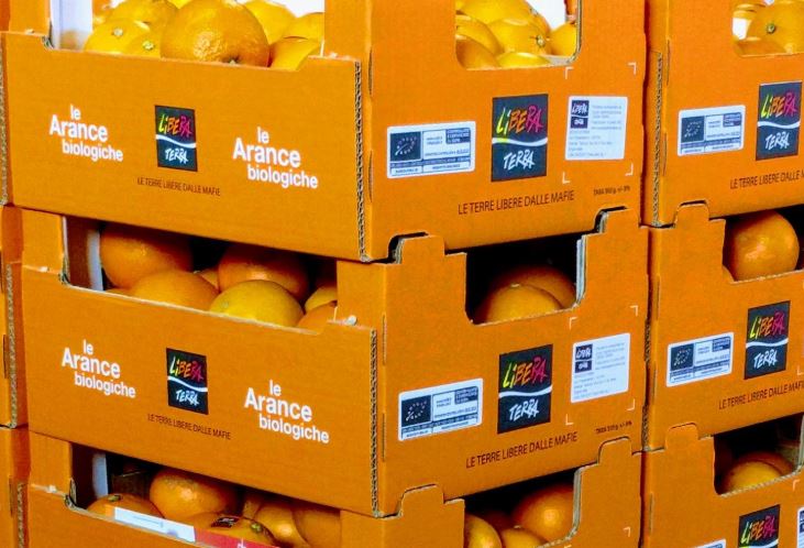 Nuovo furto ai danni della Cooperativa Beppe Montana – Libera Terra: “Così è impossibile lavorare”