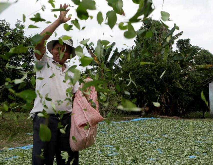 Bolivia, un’economia che ruota tra cocaina e riciclaggio