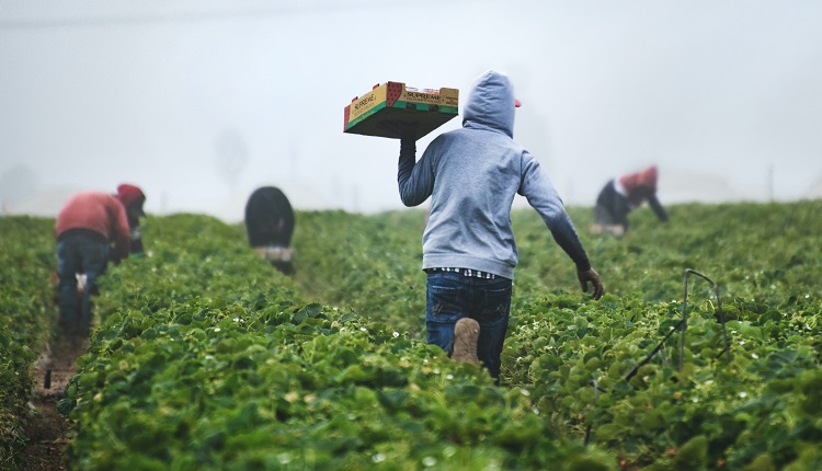 Fondazione Murialdi: “Lo schiavismo nel cortile di casa”, Roma 19 settembre