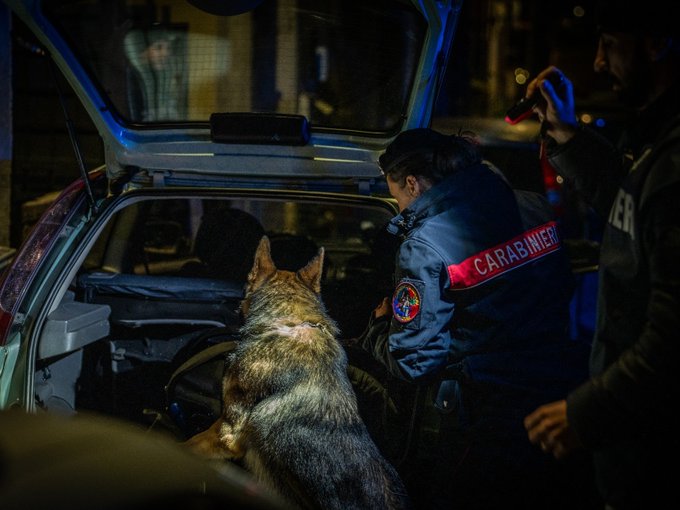 Operazione internazionale antidroga dei Carabinieri tra Italia, Albania e Spagna