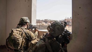 La legge della giungla