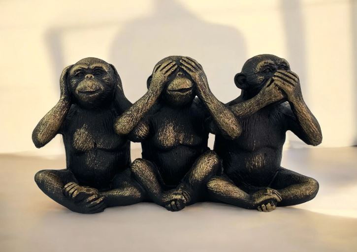 Sono cose nostre. Fiaba semiseria: la mafia, le scimmiette e le rane dalla bocca larga